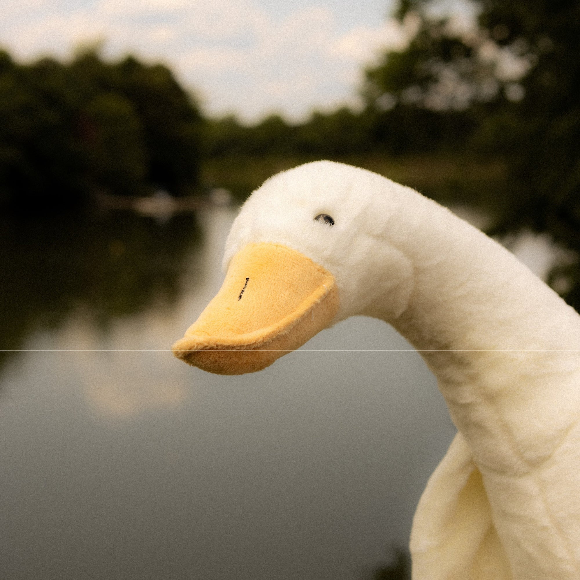 Yours 2 Keep Doug Duck Outside By The Water