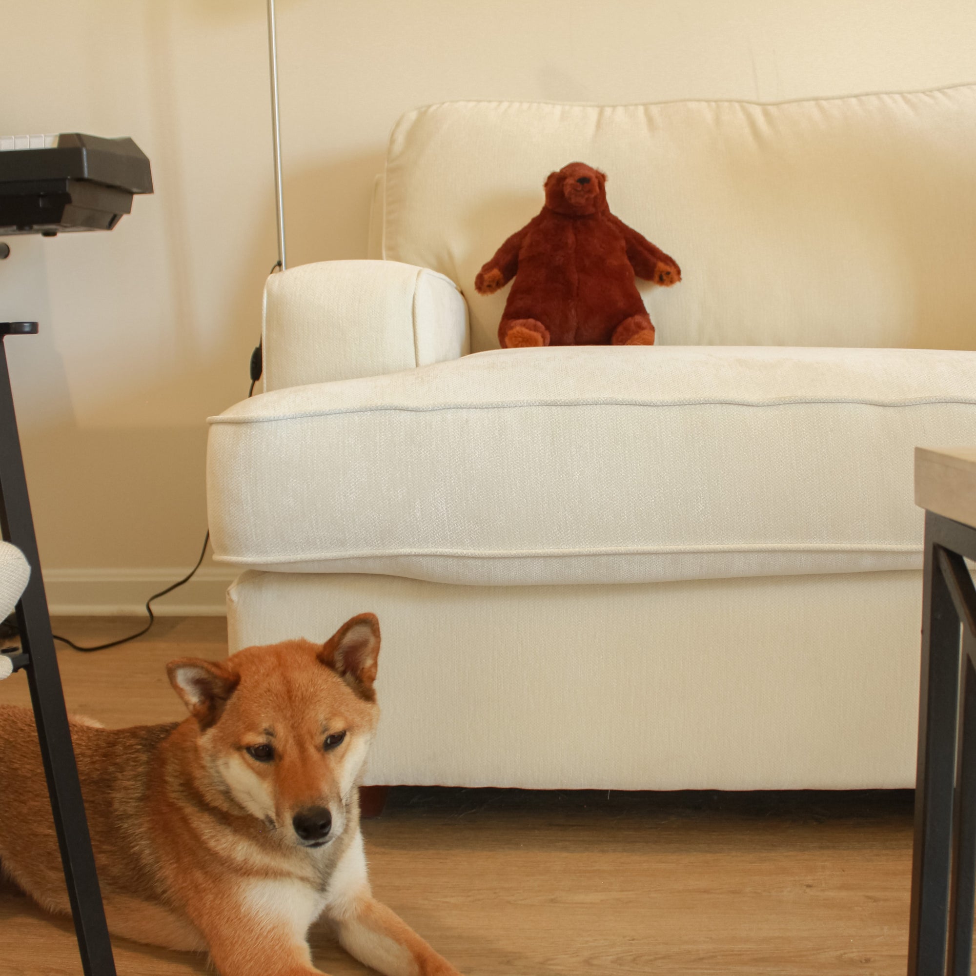 Yours 2 Keep Sleepy Bear sitting on couch with dog