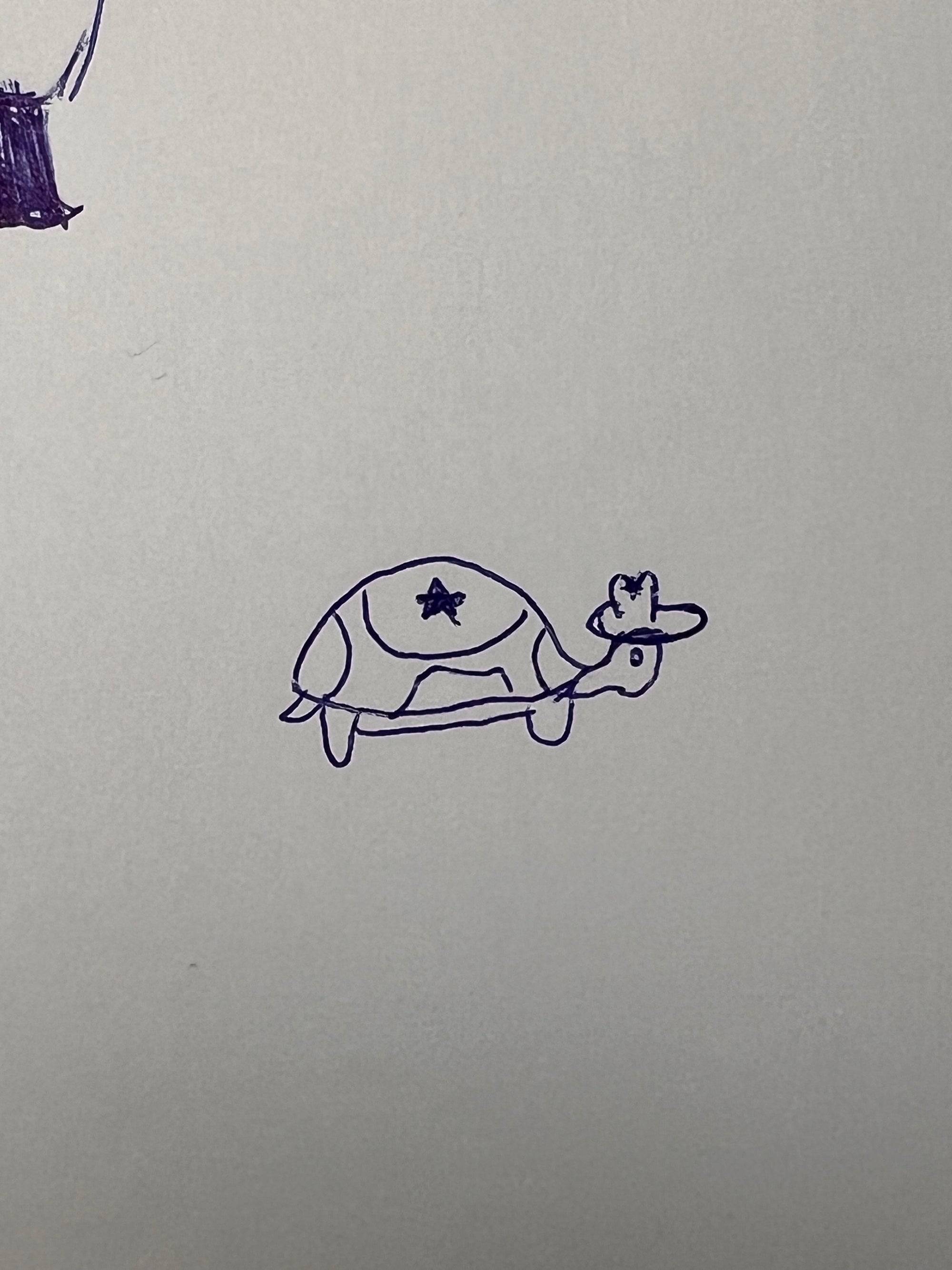 Cowboy turtle drawing