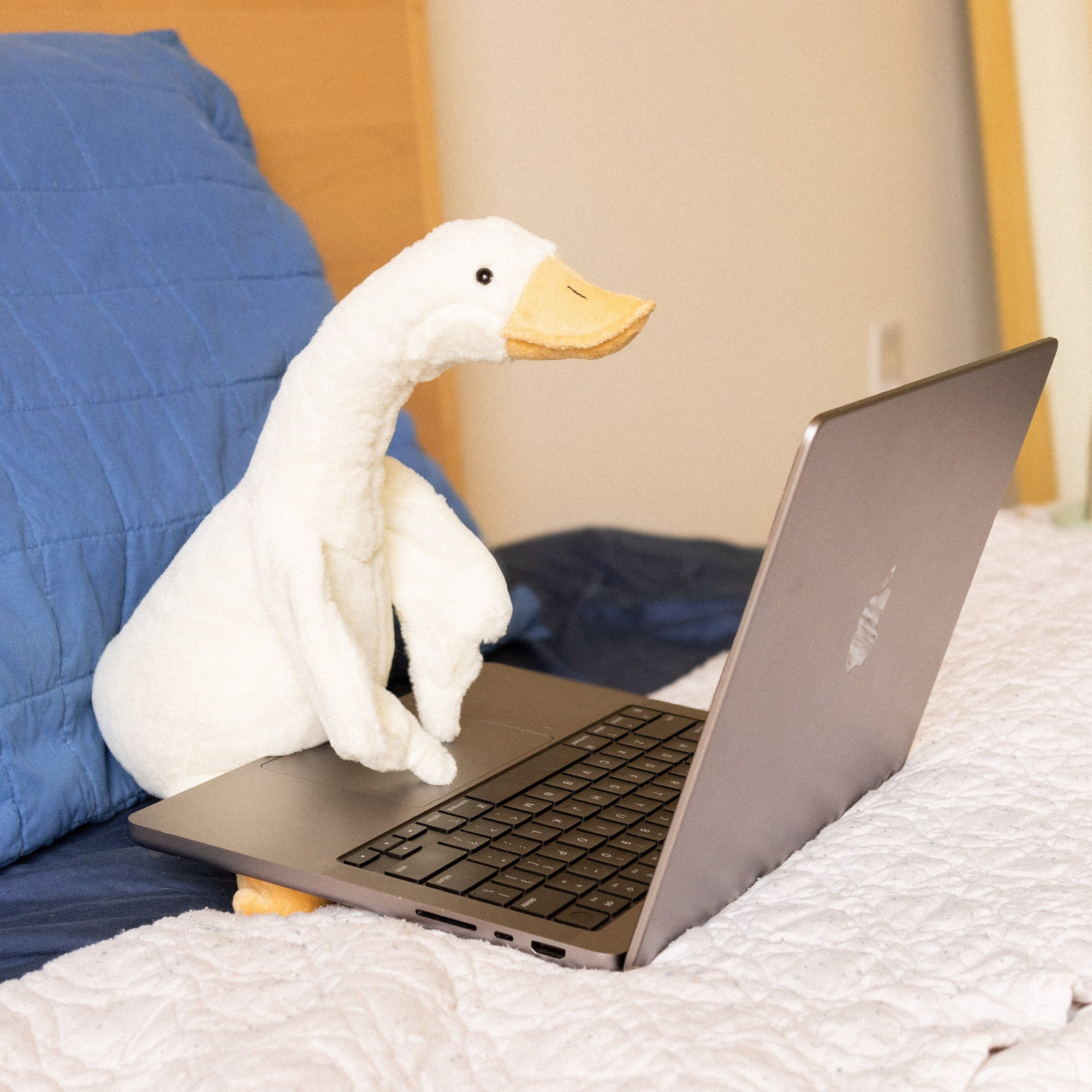 Yours 2 Keep Doug Duck Typing On Laptop